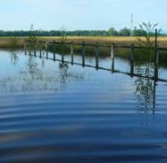 Terrain inondé…. c’est du passé, l’eau s’est retirée !