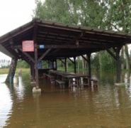 Terrain inondé