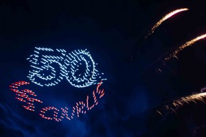 50 ans courlis (34)