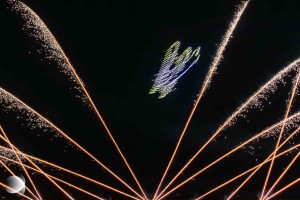 50 ans courlis (39)