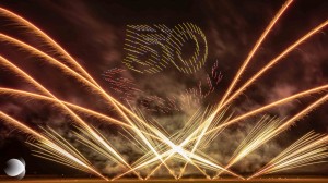 50 ans courlis (47)